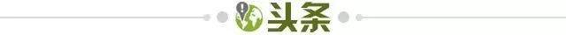【早报】无解药厂！勒沃库森各赛事33场不败创纪录！